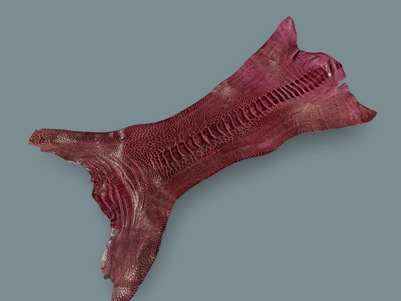 OSSBURGUNDY