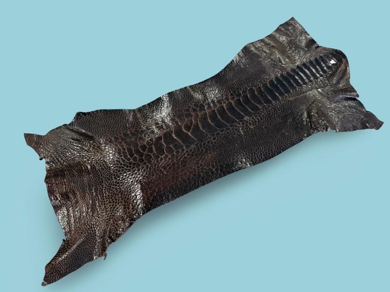ostrich shin skin dark brown Game Skin