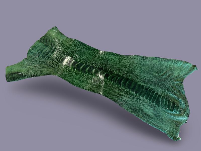 ostrich shin skin Green Game Skin