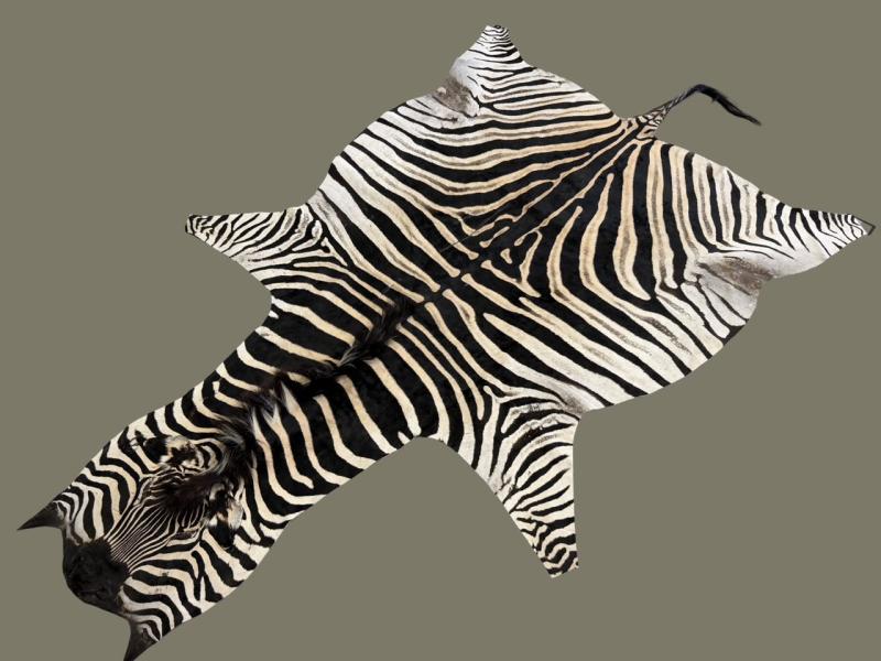 ZEB-12090